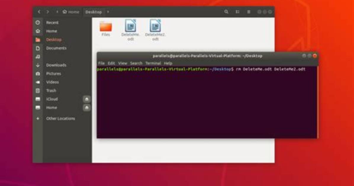 Quick Answer: How to Delete File Linux?