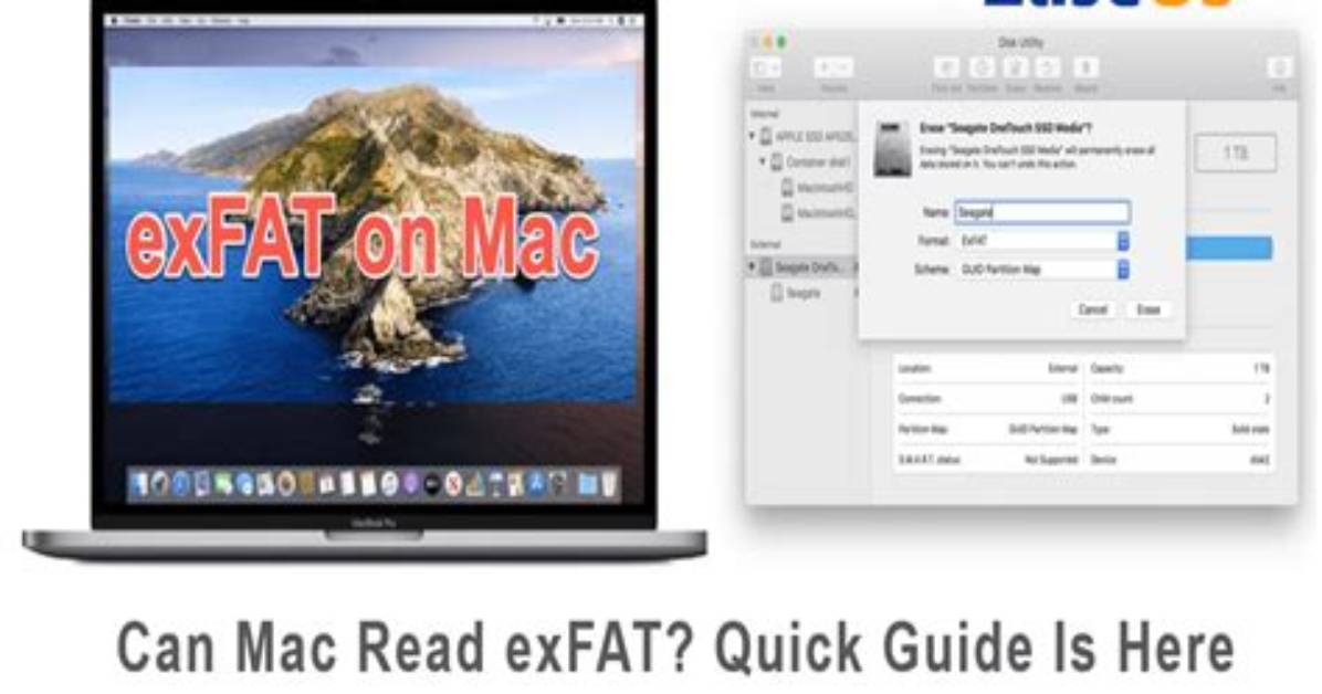 Quick Answer: How to Find Your Mac Address Windows 10?
