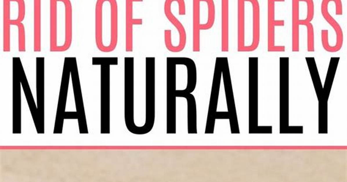 Quick Answer: How to Get a Spider off the Ceiling
