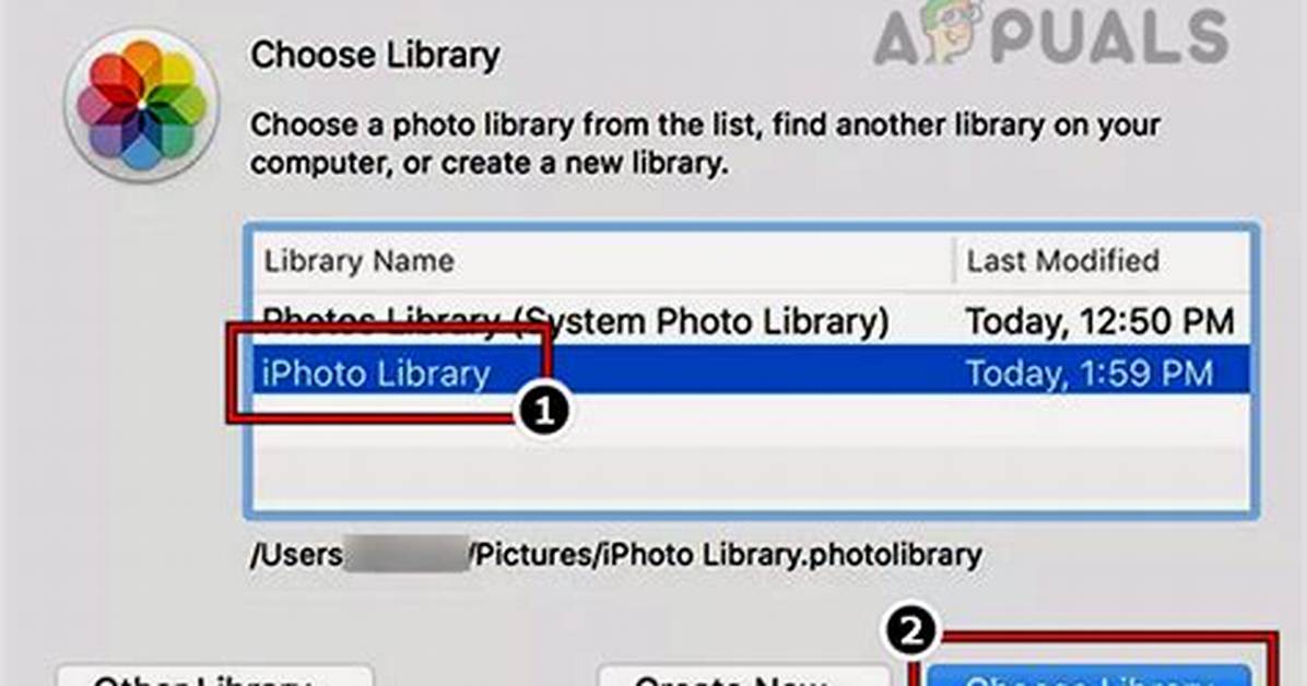 Quick Answer: How to Update Iphoto Library