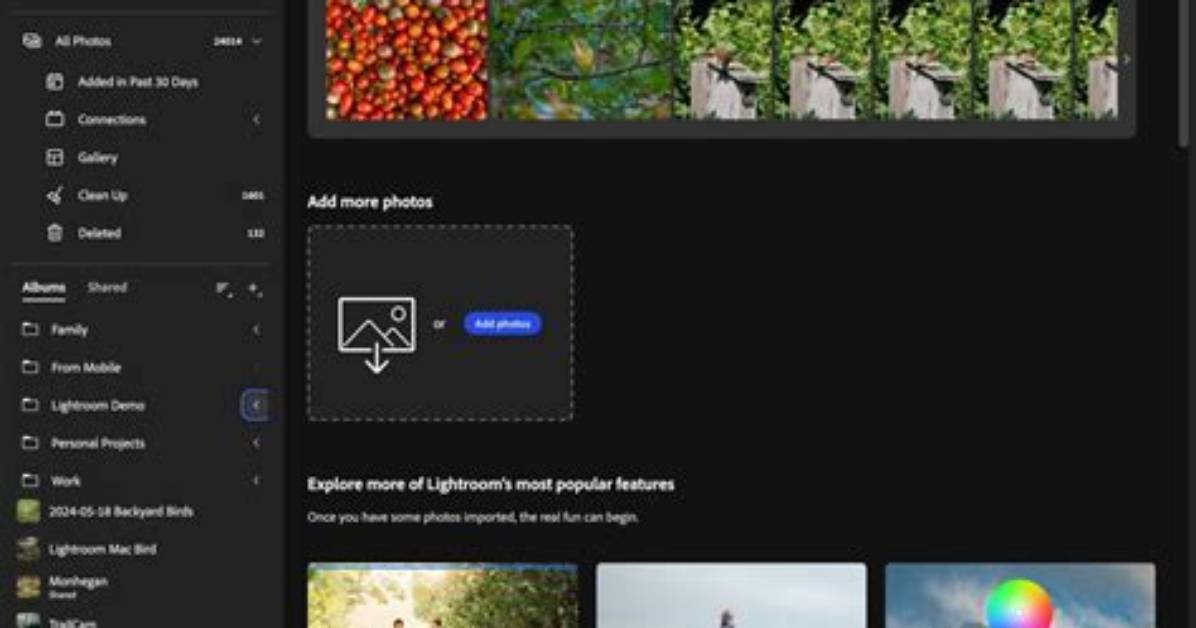 Quick Answer: Is the Lightroom App Good?