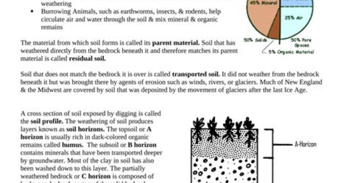 Quick Answer: What Is Beneath Soil