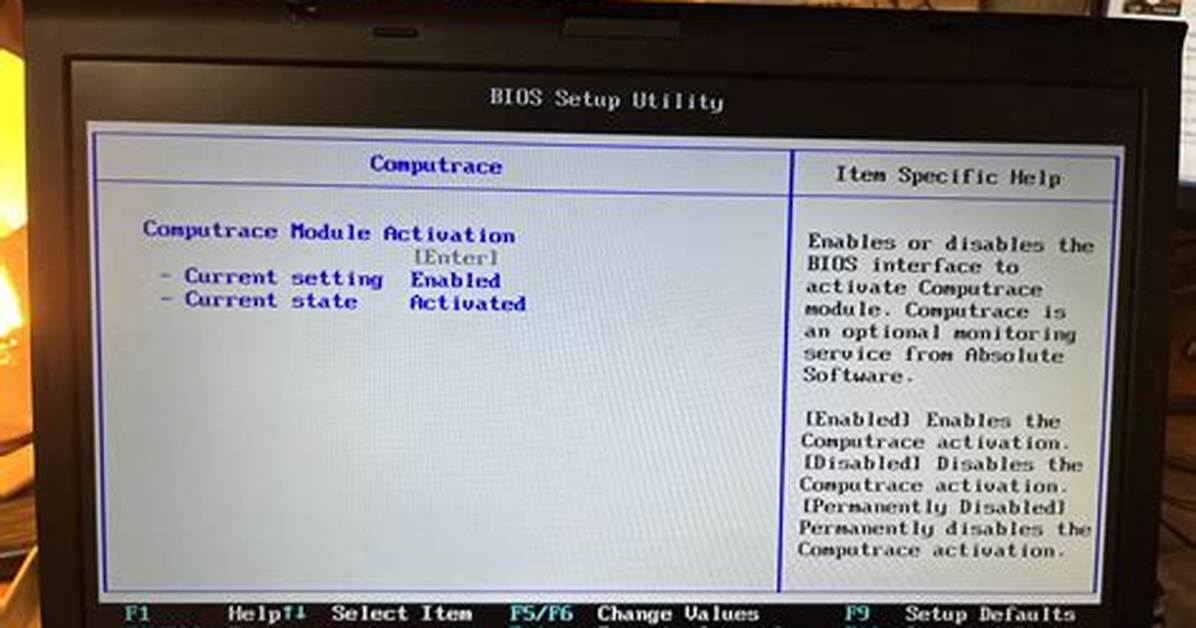 Quick Answer: What Is Computrace in Dell Bios?