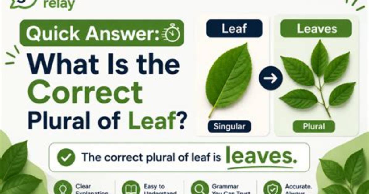Quick Answer: What Is the Plural for Baby
