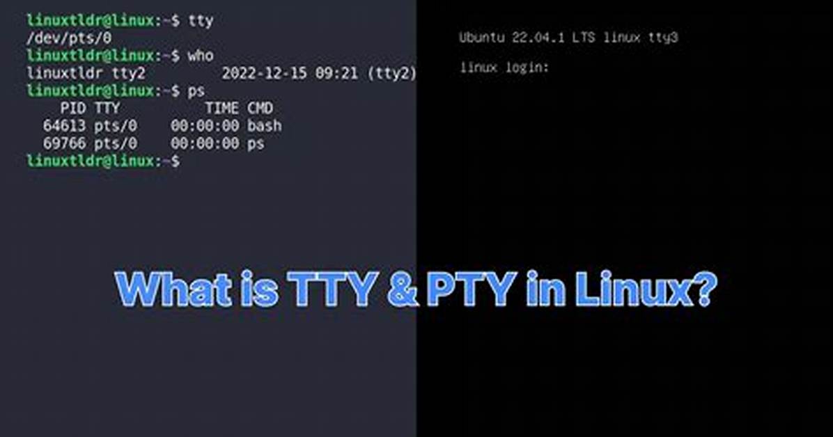 Quick Answer: What Is Tty Linux?