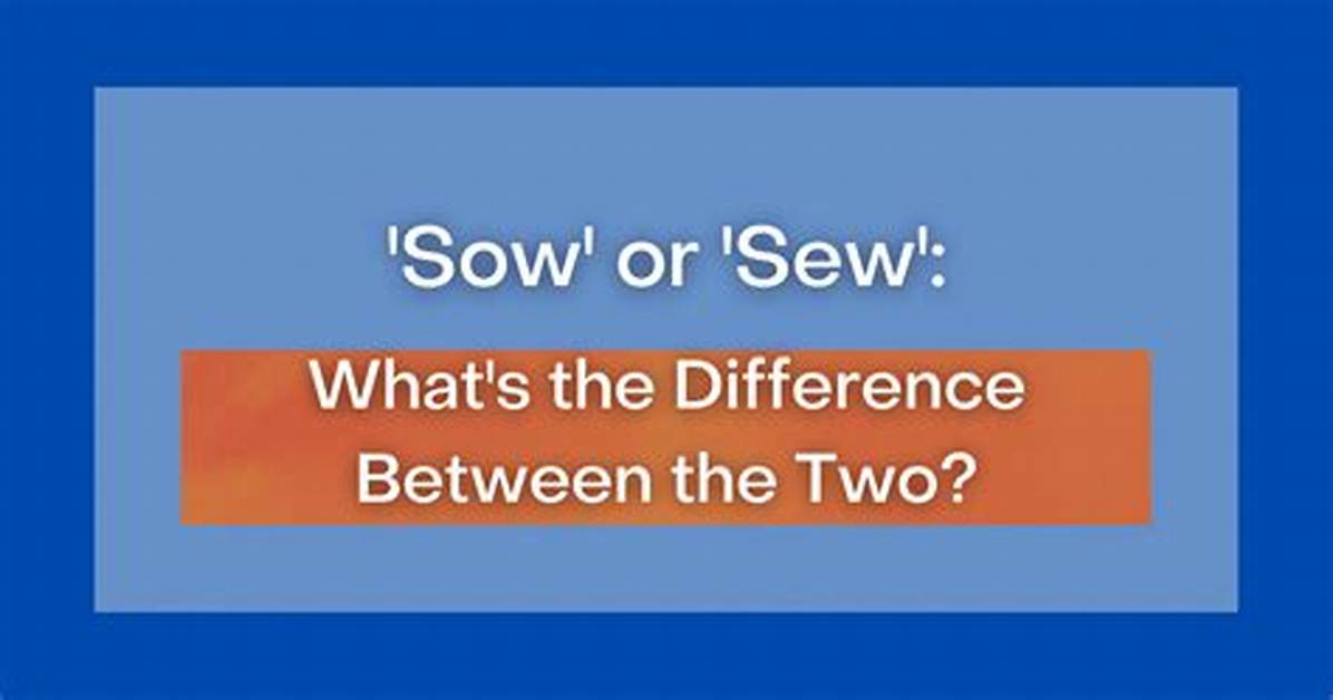 Quick Answer: What’s the Difference Between a Chromebook and a Windows Computer?