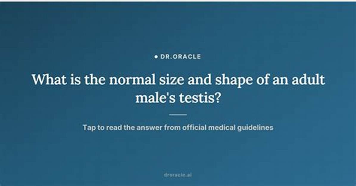 Quick Answer: What Size Is a Normal Picture