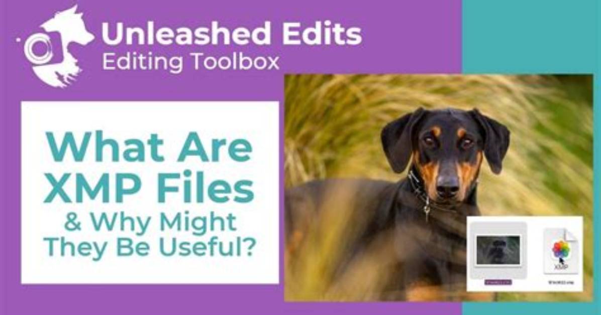 Quick Answer: Where Are Xmp Files Stored in Lightroom?