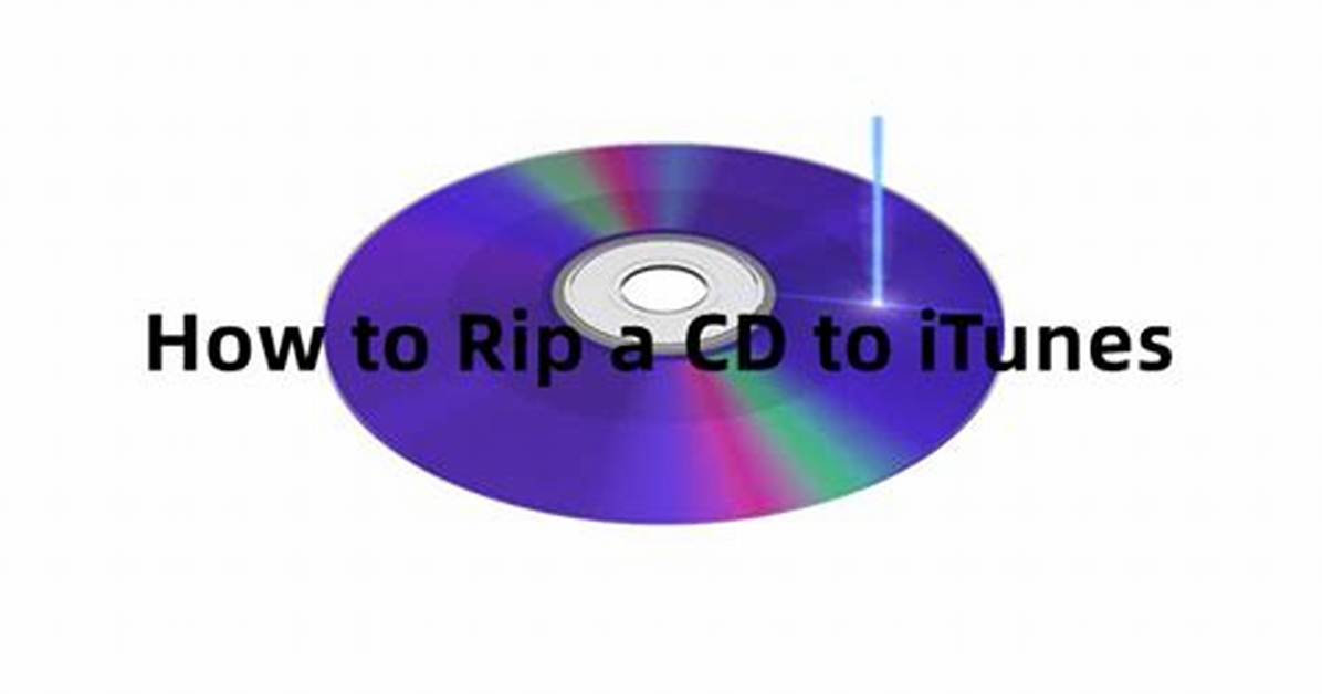 Quick Answer: Where Is Rip Cd in Windows Media Player?