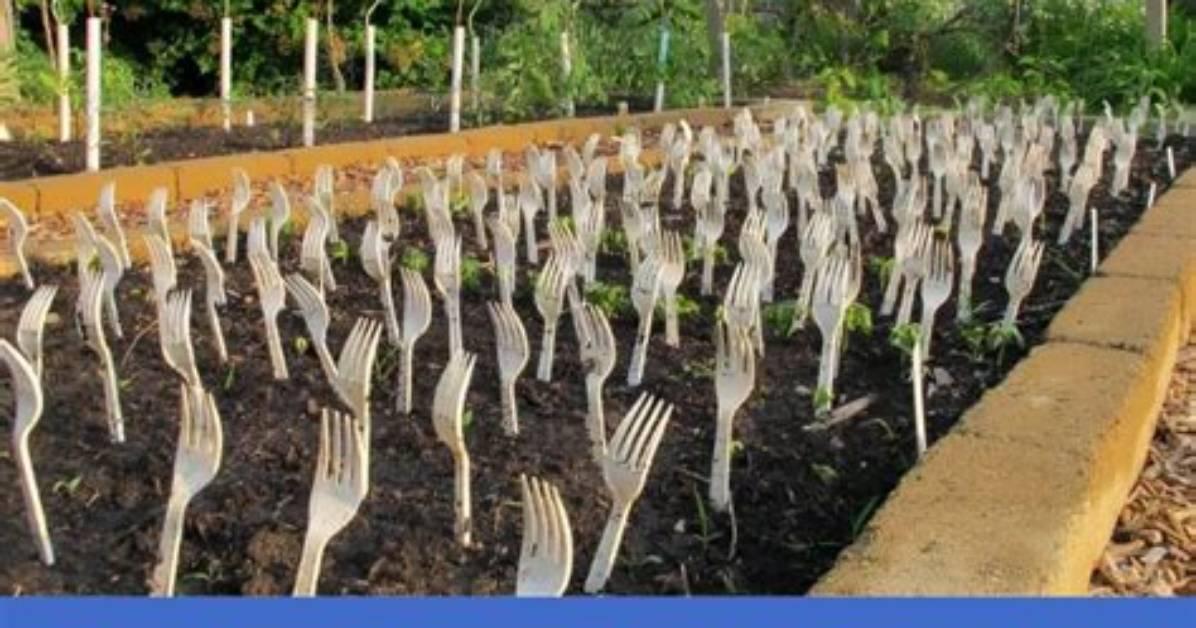 Quick Answer: Why Put Forks in Garden