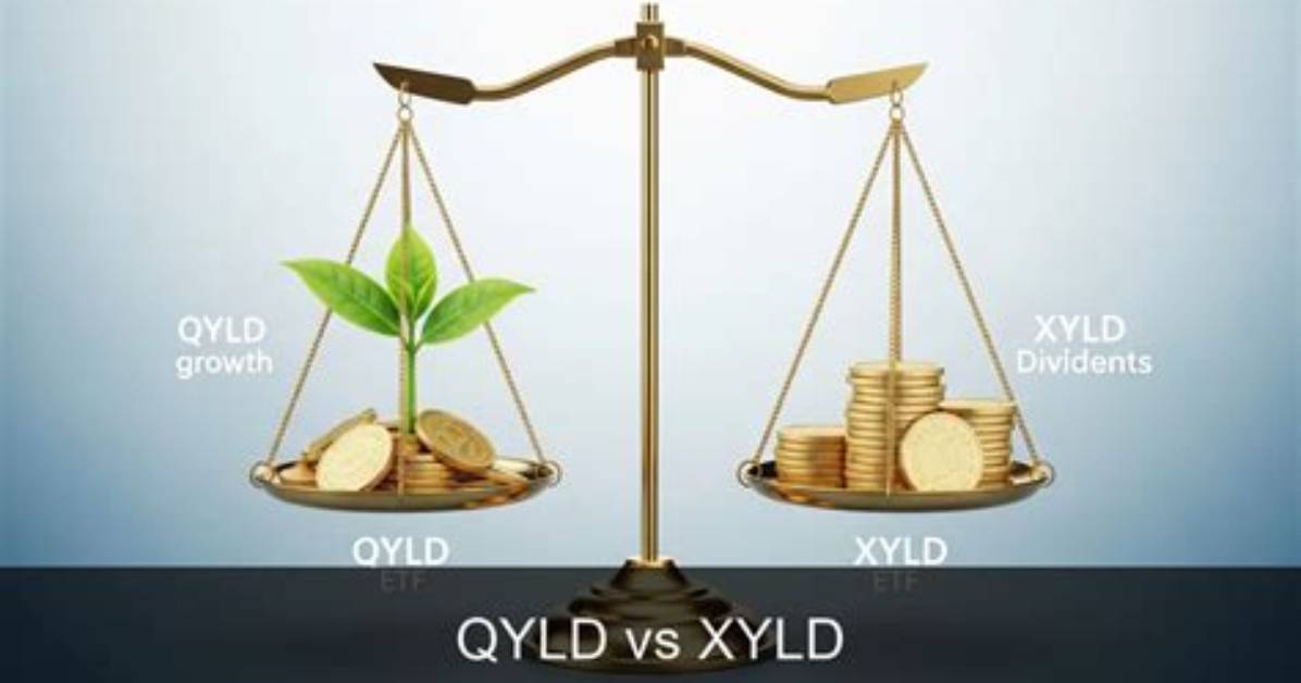 Qyld Vs. Xyld – a Comprehensive Comparison