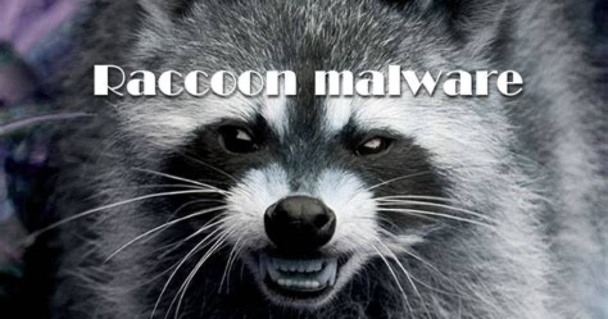 Raccoon Malware Steals Data from 60 Different Applications