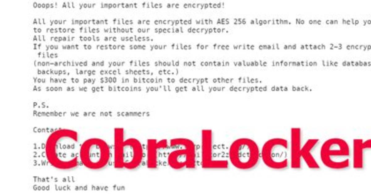 Ransom. Cobralocker
