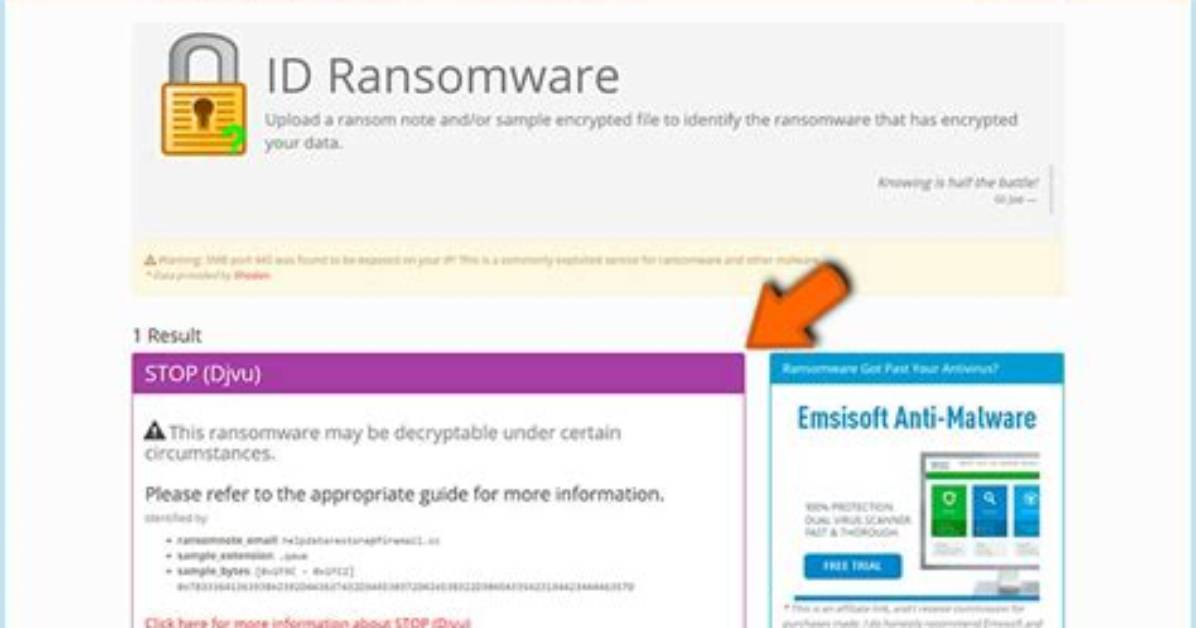 Ransom: Msil/Stupid