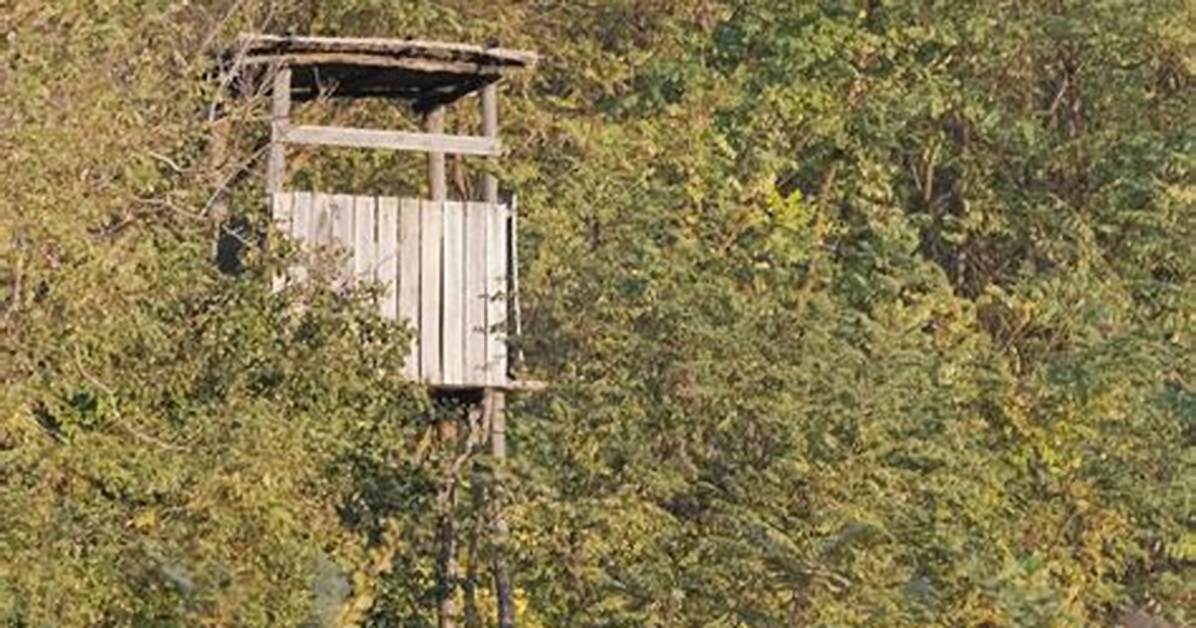Raymond Seville Jr. Dies in Tree Stand Fire Incident in Pennsylvania