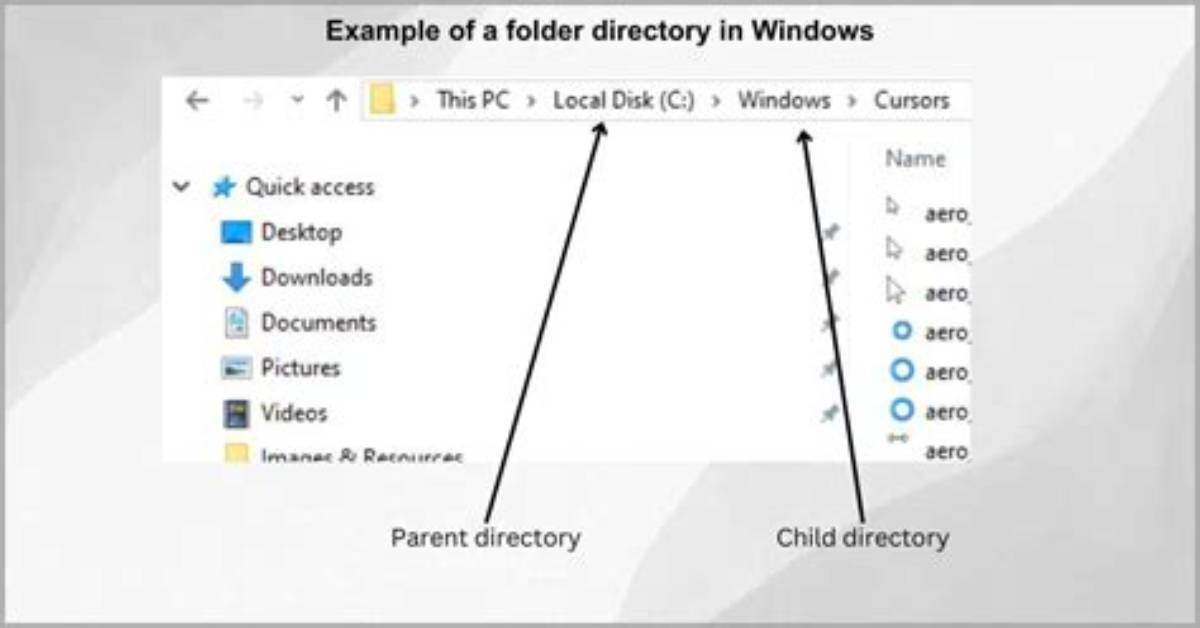 Reading All Files from a Directory [Closed]