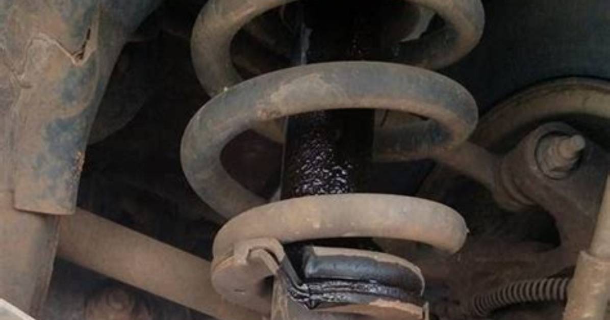 Rear Shocks Leaking