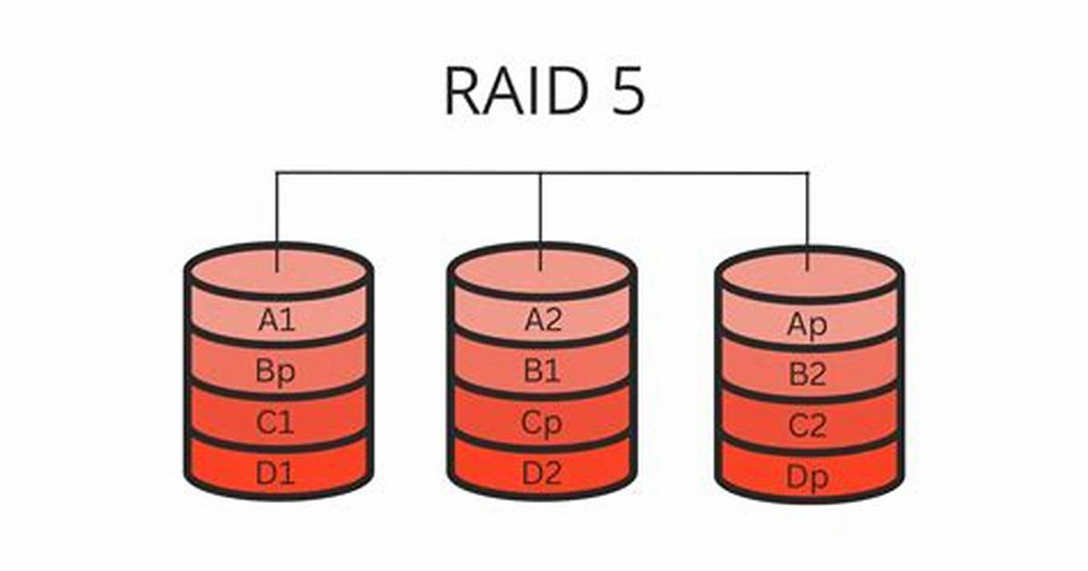 Recognize and Use Hardware Raid 5