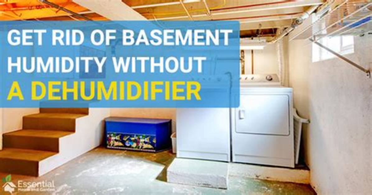 Reducing Humidity in Basement Without Dehumidifier