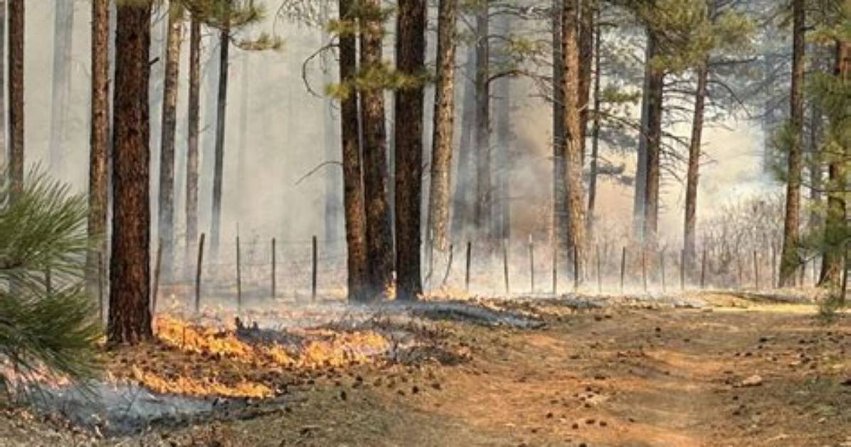 Regional Prescribed Burns, Fires Causing Hazy Skies Locally | Local News