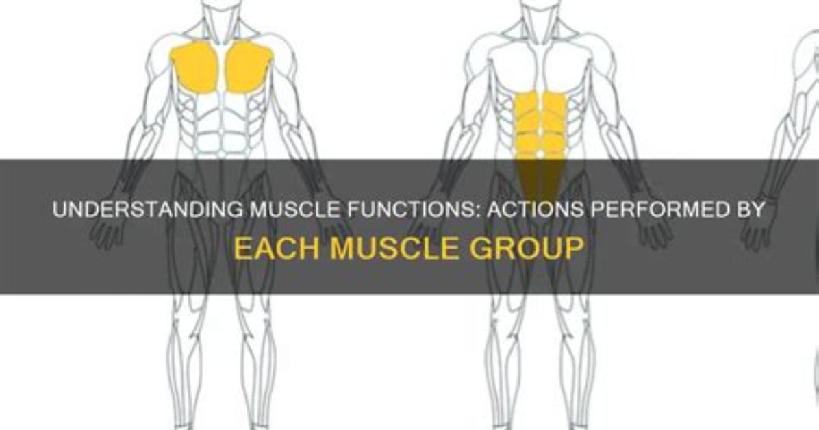 Regular Group Actions and Functions