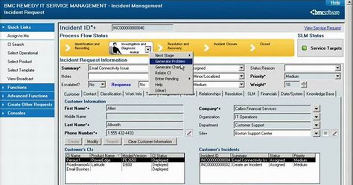Remedy Usage Report Instructions - Bmc Software