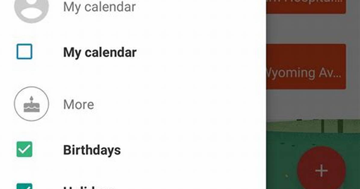 Remove Duplicate Entries on "My Calendar" Under Google Calendar App?