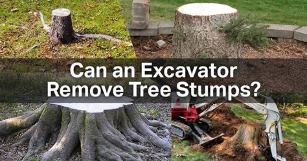 Remove Tree Stumps with Bobcat