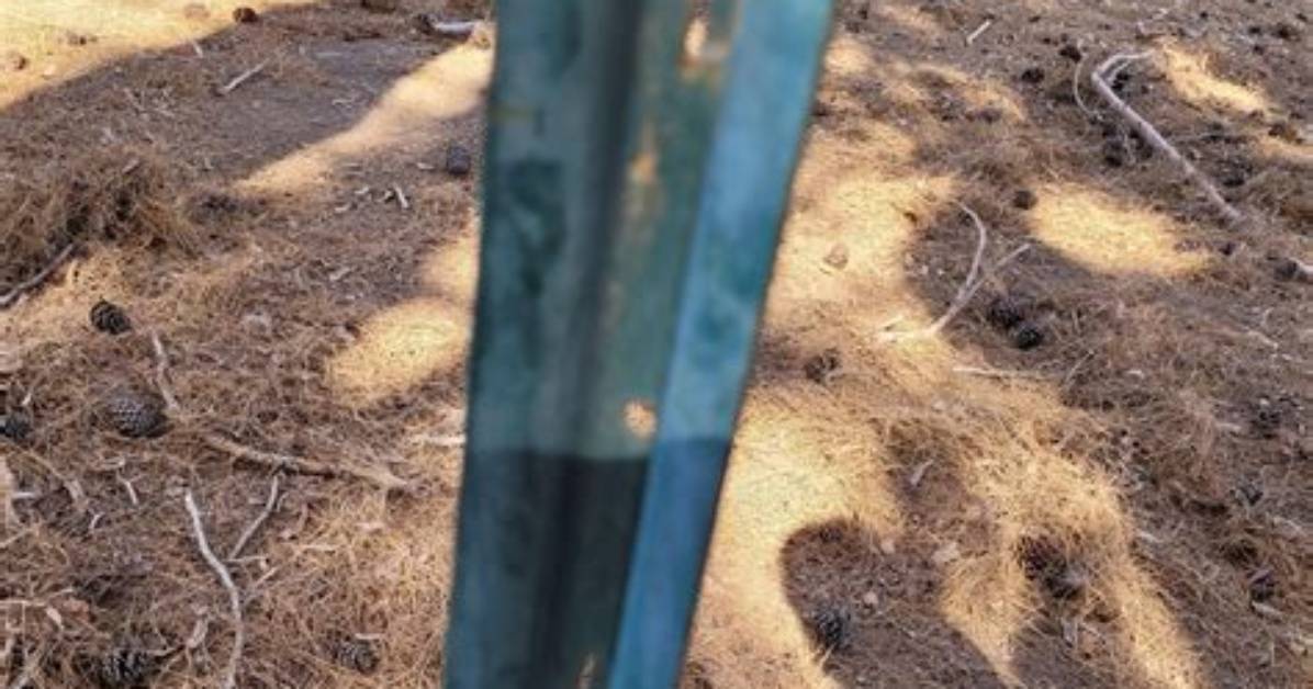 Removing T Posts