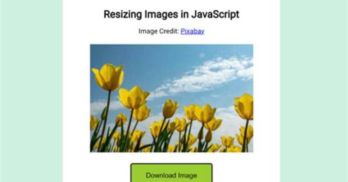 Resize Image with Javascript Canvas (Smoothly)