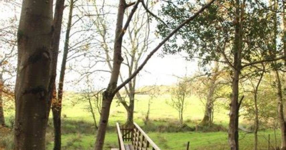 River Mite | Co-Curate