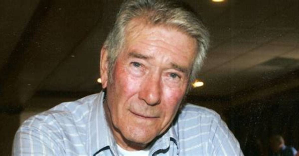 Robert Fuller Net Worth