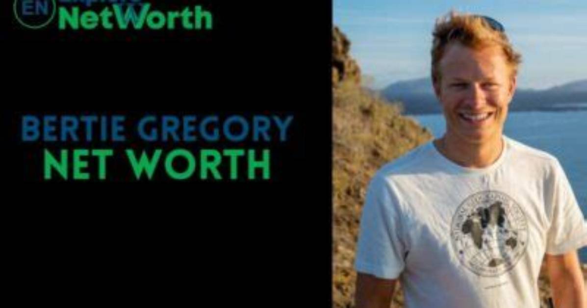 Robert Gregory Net Worth