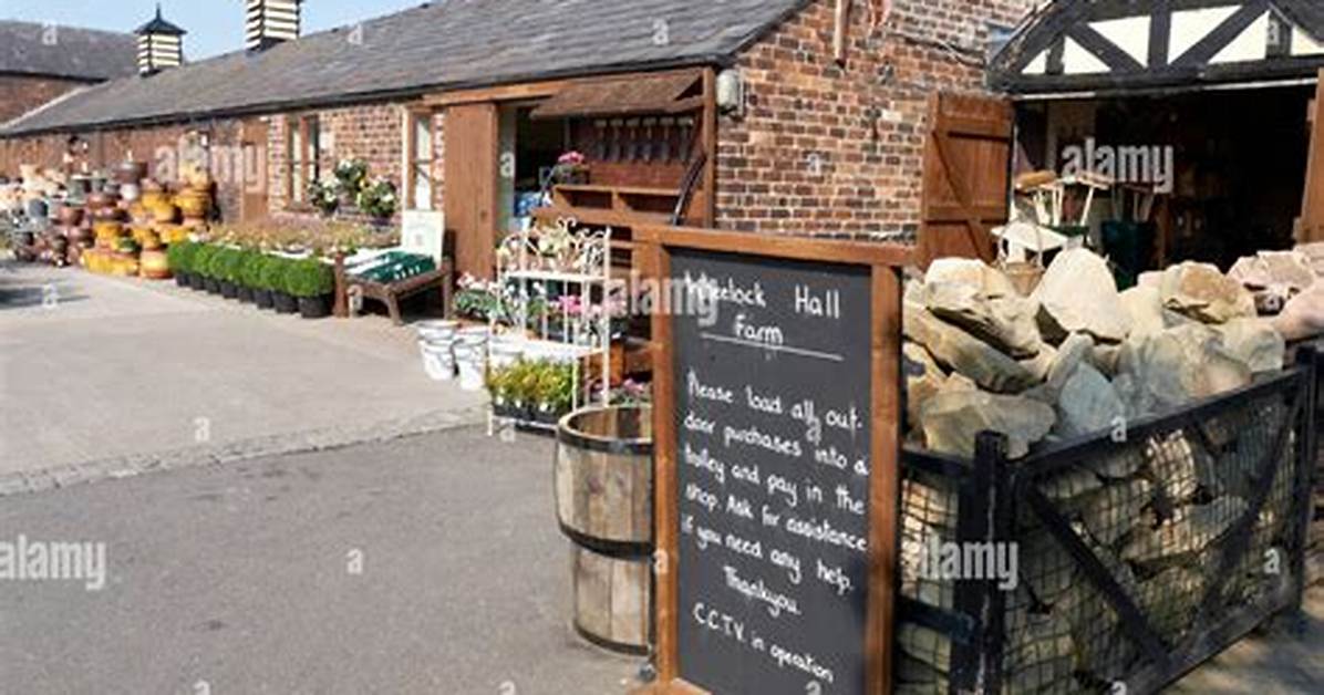 Robert Witter Death: Wheelock Hall Farm Shop Director Died