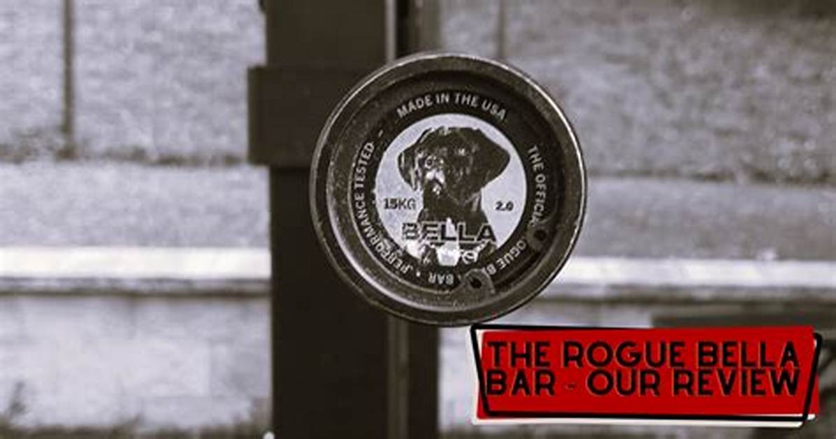 Rogue Bella Bar Review (2024) | Garage Gym Reviews