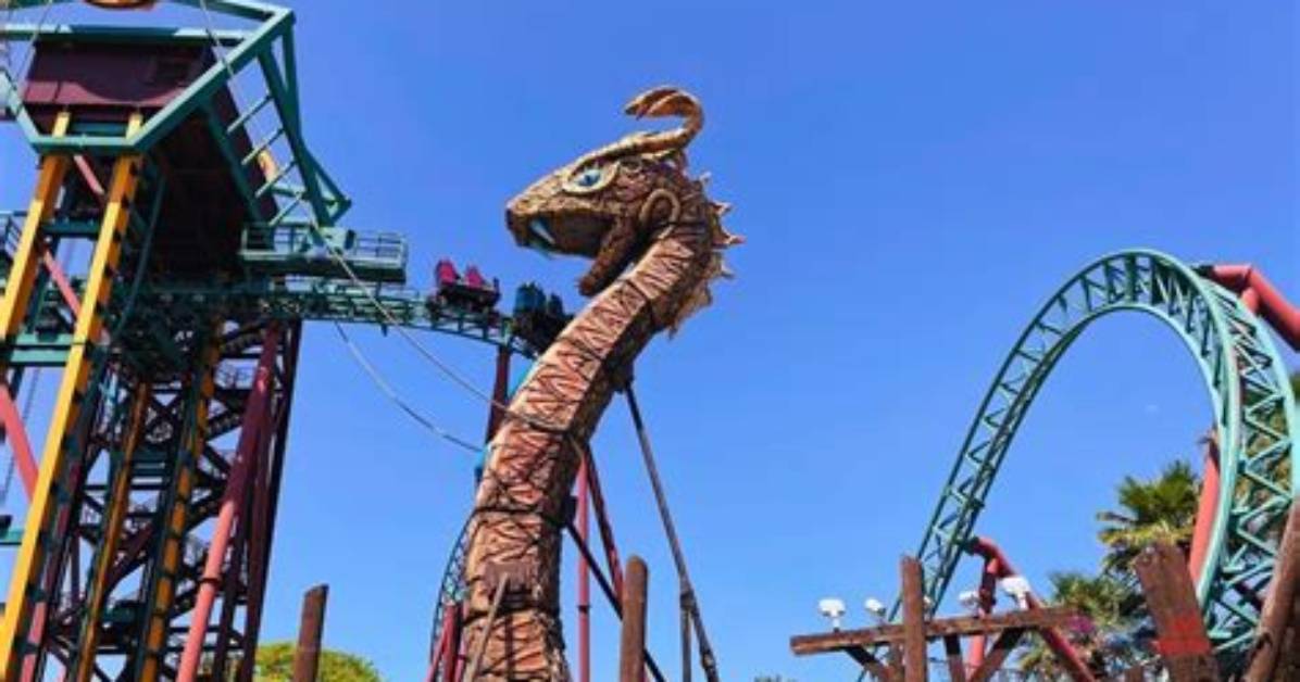 Roller Coaster Guide: Cobra’s Curse