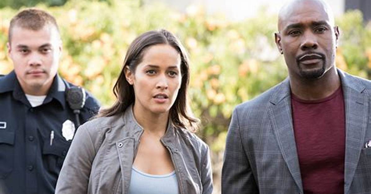 ‘Rosewood’ Canceled at Fox After 2 Seasons – the Hollywood Reporter