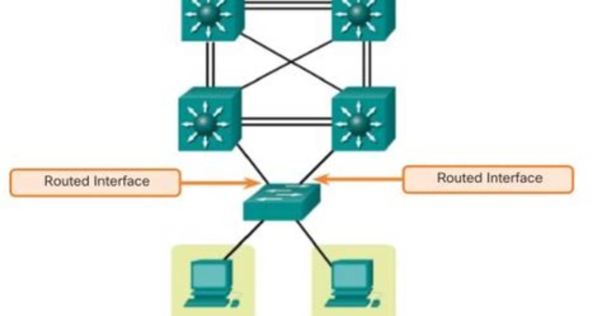 Routed Port