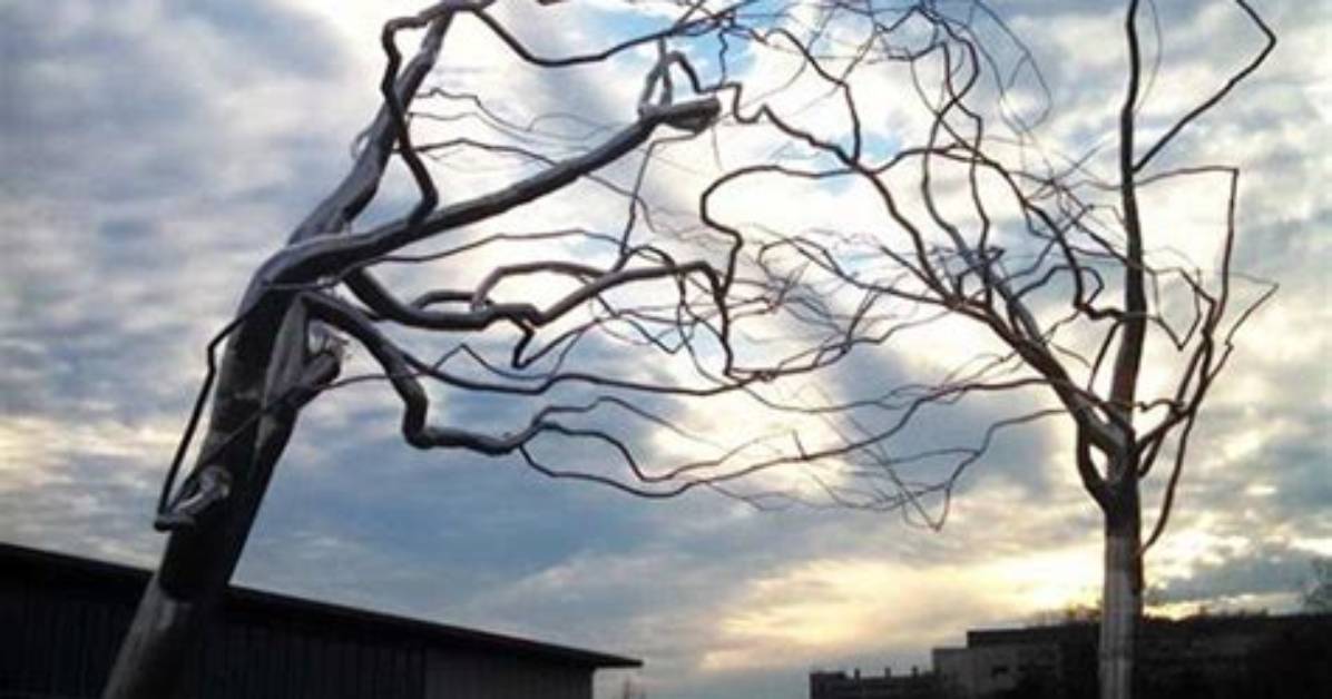 Roxy Paine Net Worth