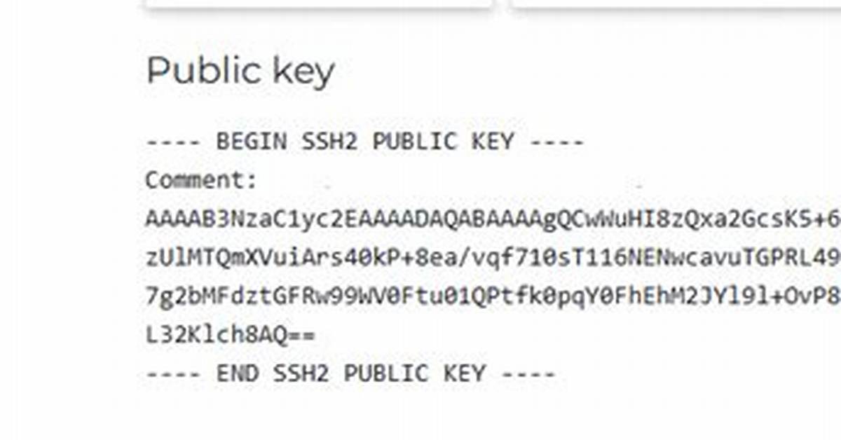 Rsa Public Key Format