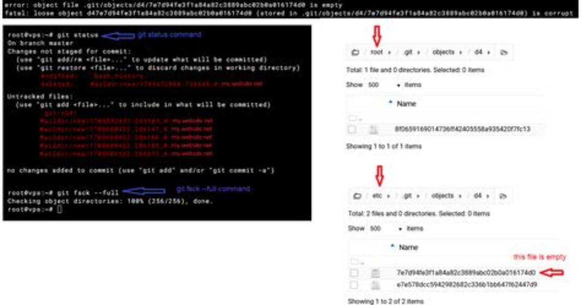 Rsync Can Not Delete. Git/Objects Directory Files