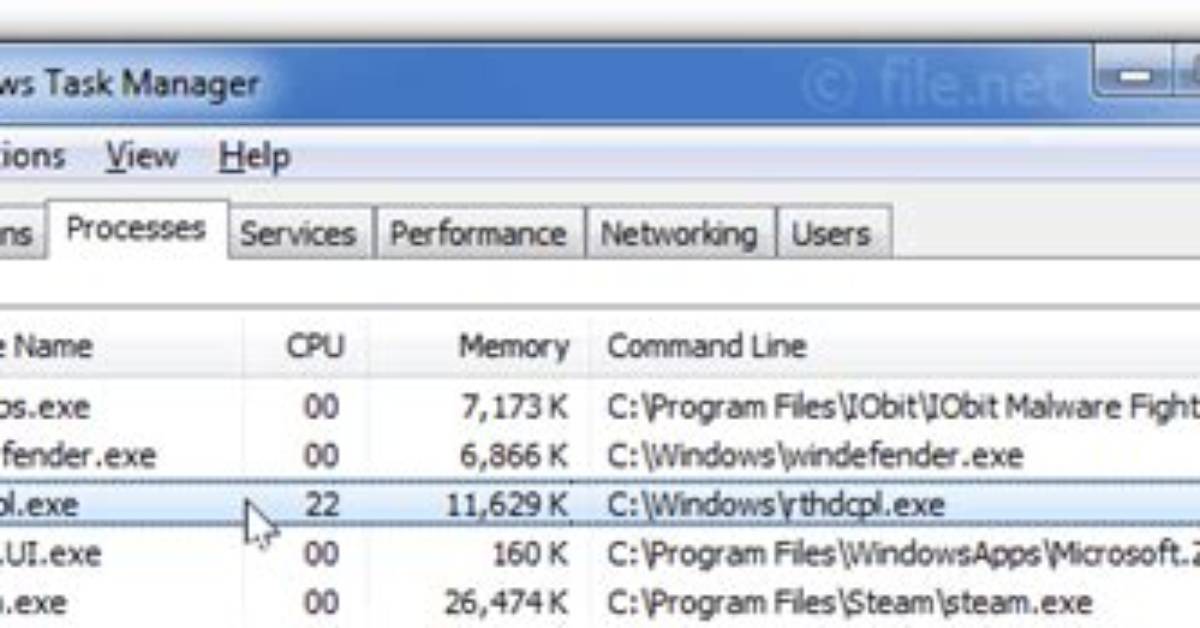 Rthdcpl. Exe Windows Process – What Is It?