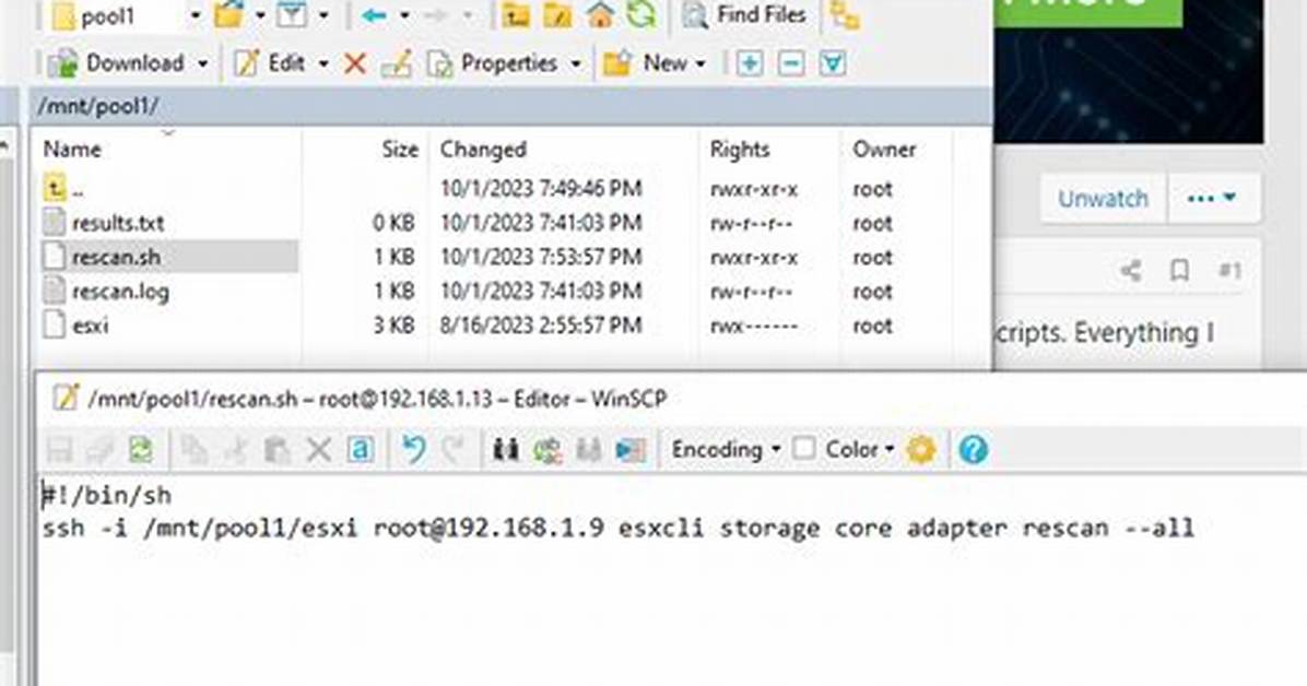 RTorrent Init Script Not Working