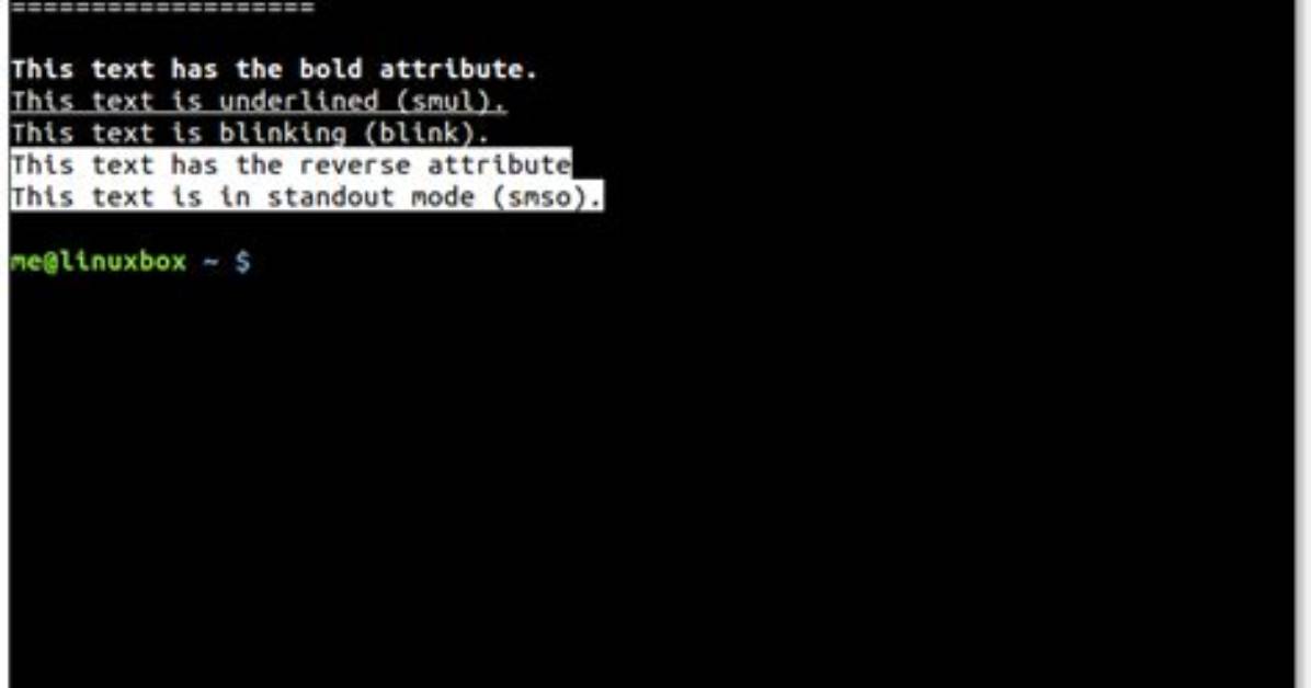 Running Command ''Tput' Cols' Had Status 2
