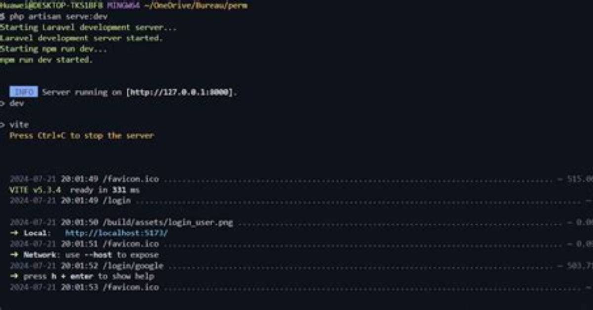 Running Npm for Laravel Application