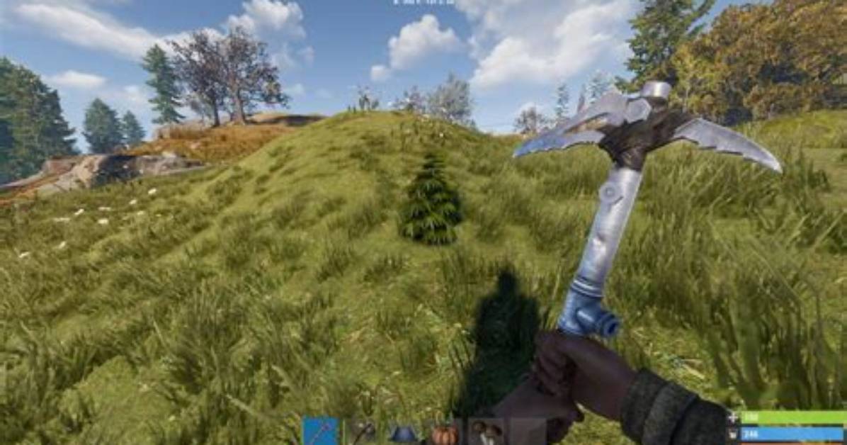 Rust: How to Get Cloth