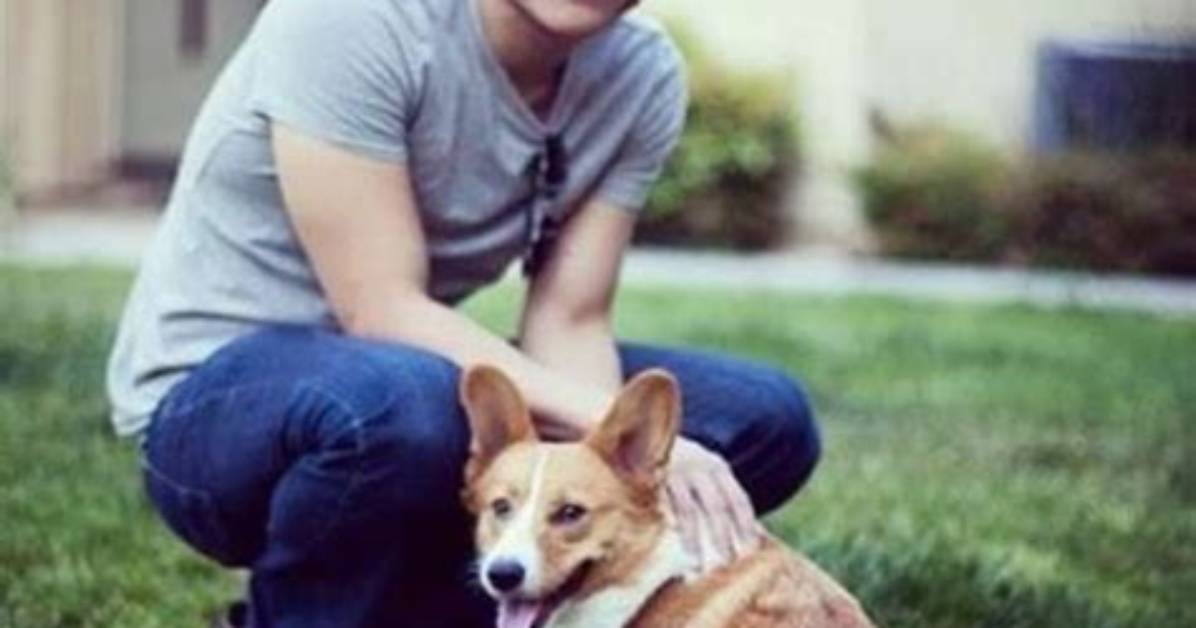 Sam Yam Age, Wiki, Net Worth, Height and More