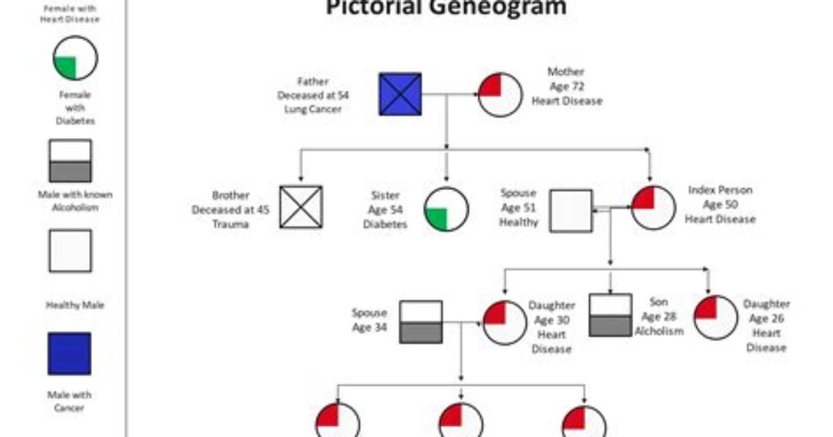 Sample Genogram 3 Generations - How to Discuss