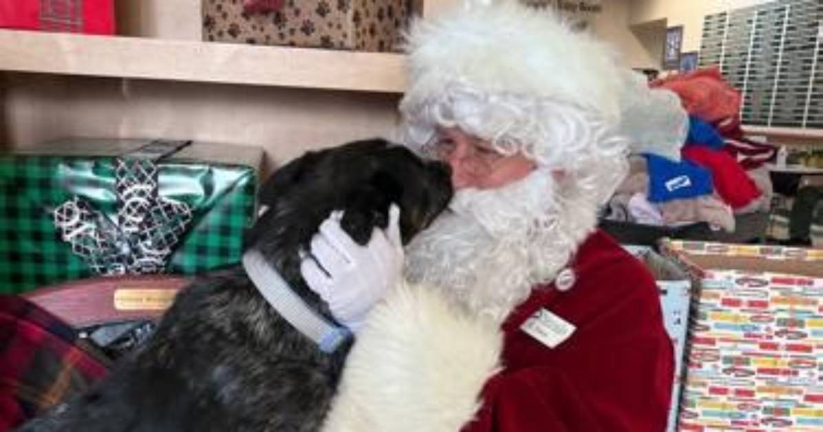 Santa Claus Helps Nevada Humane Society Give over 60 Animals | Local News