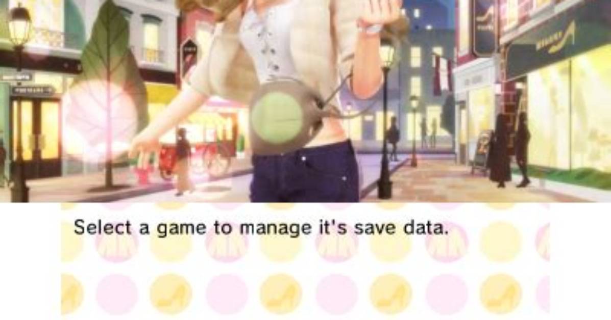 Savvymanager 3Ds - Gamebrew